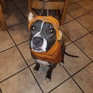 Meet your Posher, Liliana